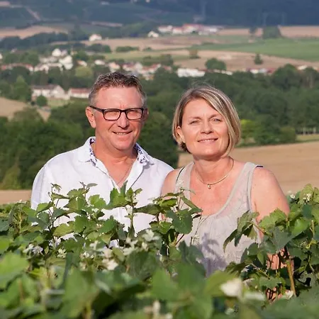 Prázdninový dům La Boulonne Festigny (Marne)