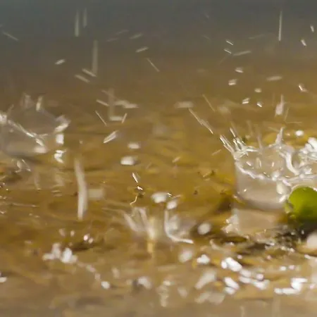 بيت للعطل La Boulonne Festigny (Marne)