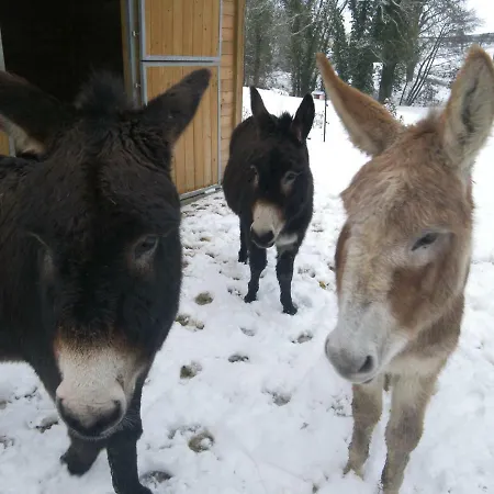 La Boulonne بيت للعطل *