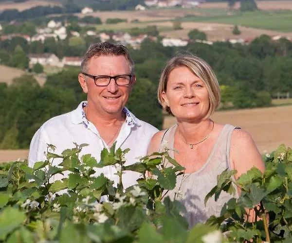 Holiday home La Boulonne Festigny (Marne)