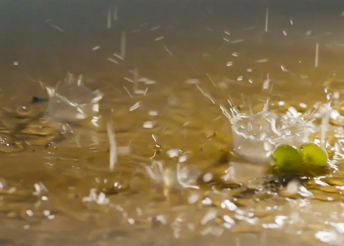 Holiday home La Boulonne Festigny (Marne)